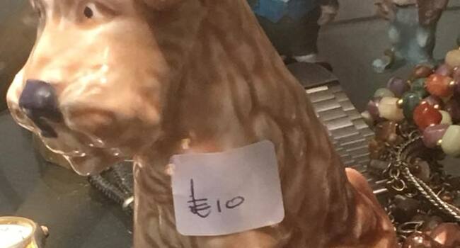 Pg-29512748_451421011942610_3018071891106594816_n